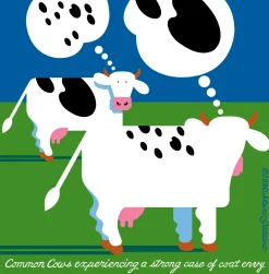 Coat Envy COWS Classic T