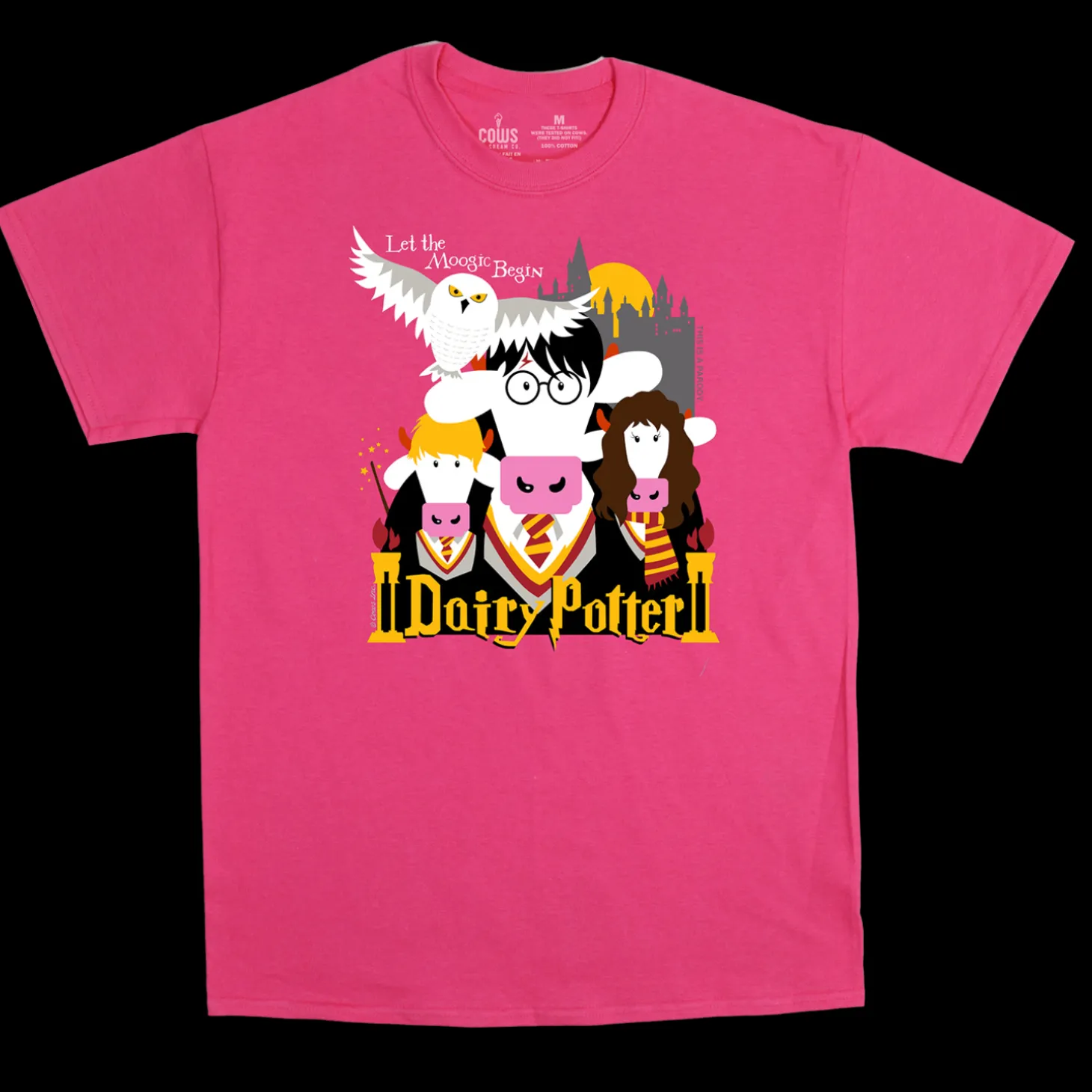 Dairy Potter Youth T