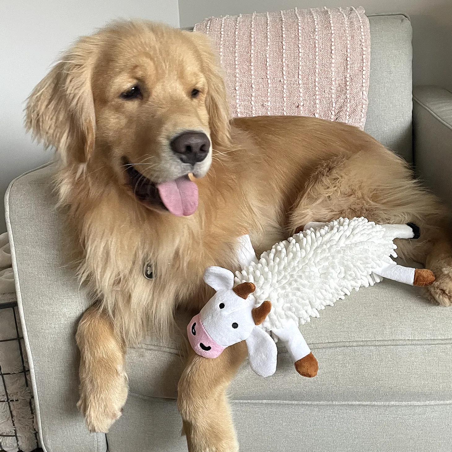 Fuzzy Dog Toy