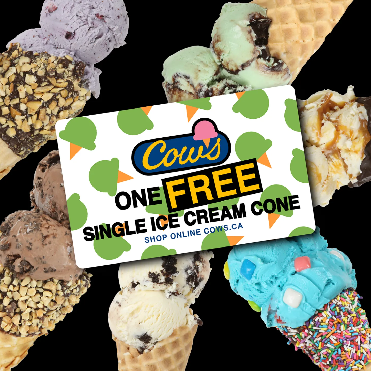 Ice Cream Coupon