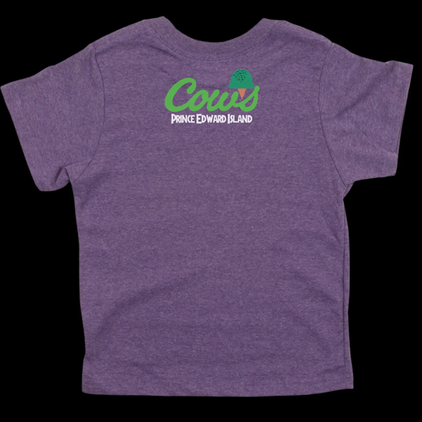 MOOasaurus Kids T
