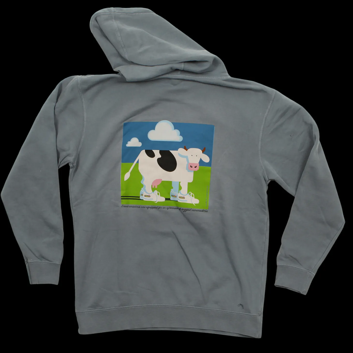 Sneaker Vintage Adult Hoodie