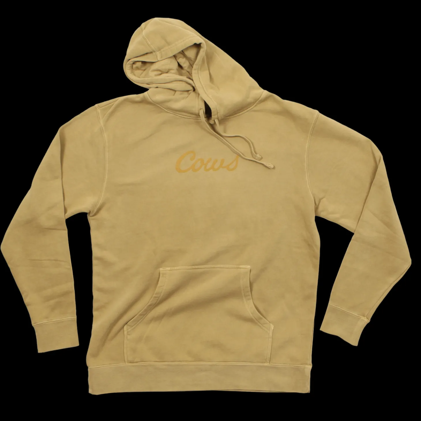 Sneaker Vintage Adult Hoodie
